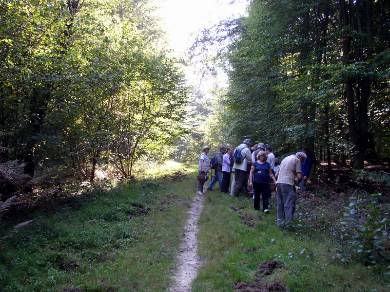 2011 10 02 Baies et champignons 17
